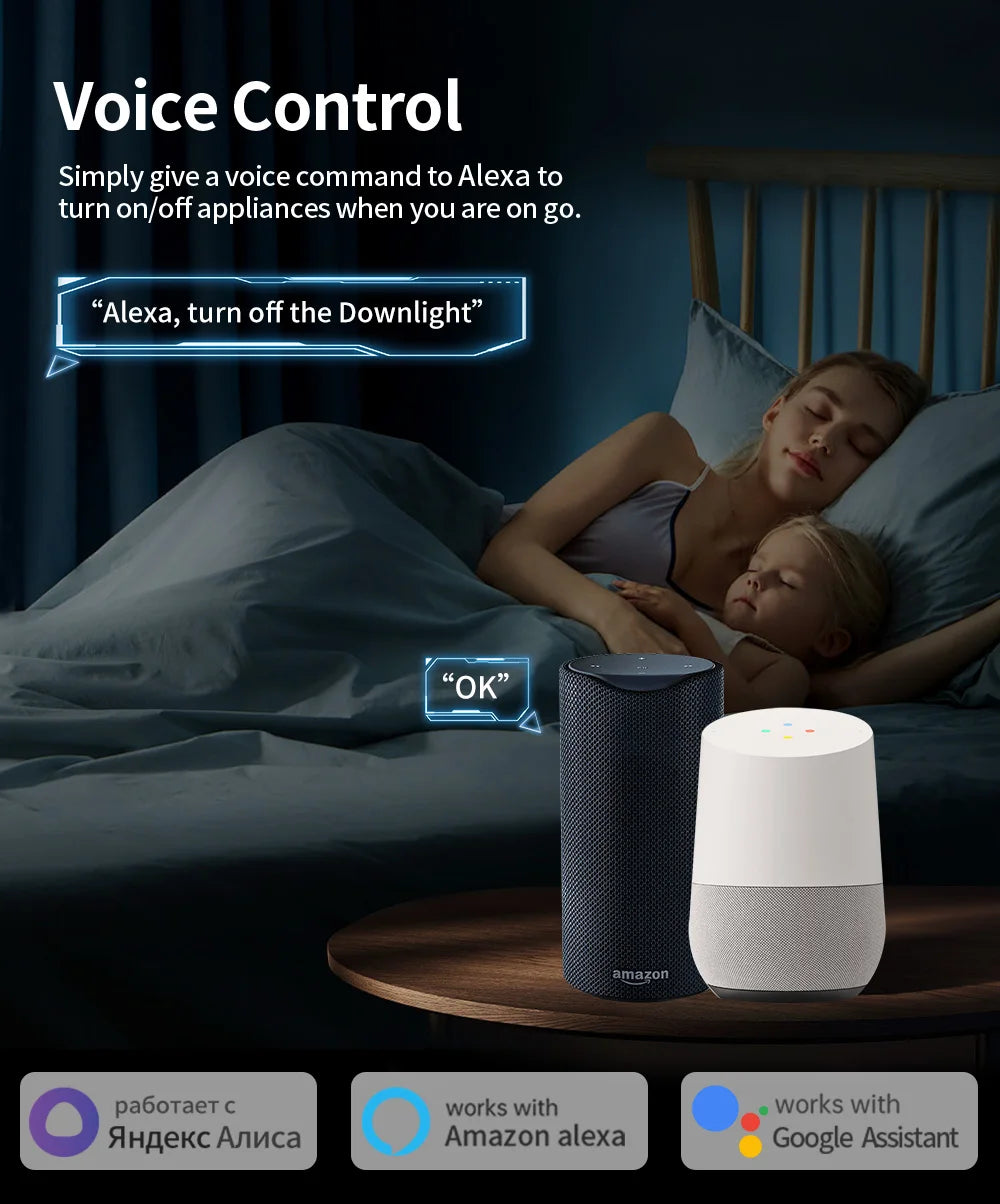 Smart WiFi Plug with Voice Control